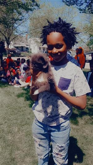 Boy holds Fox